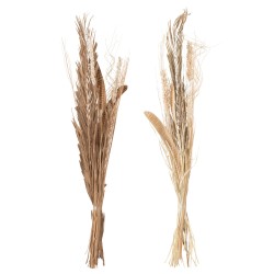 Feuilles sauvages – Roseau/rotin/bambou – Naturel (144 cm)